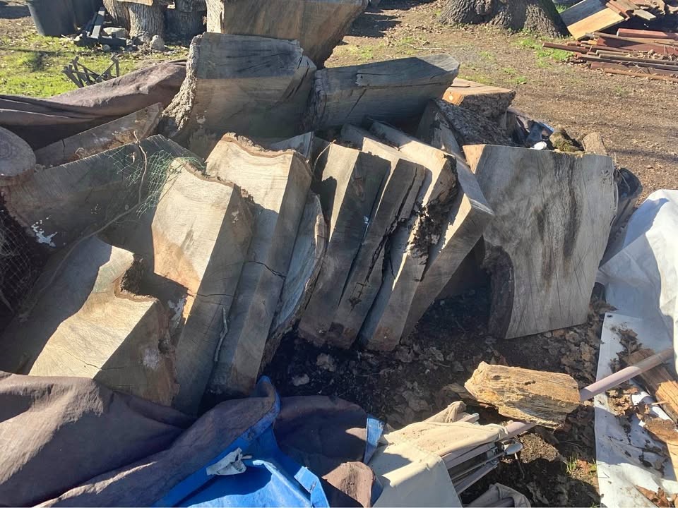 Century old Black oak slabs- Cheap, Need them gone!