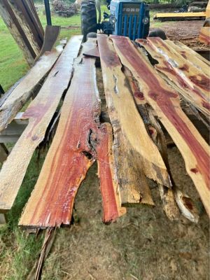 Cedar lumber