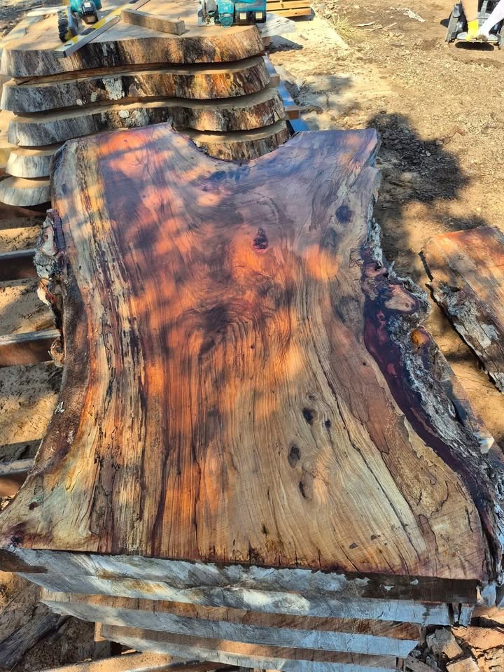 Live edge spalted pecan slabs - Image 3