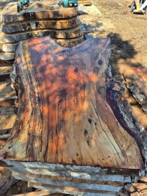 Live edge spalted pecan slabs