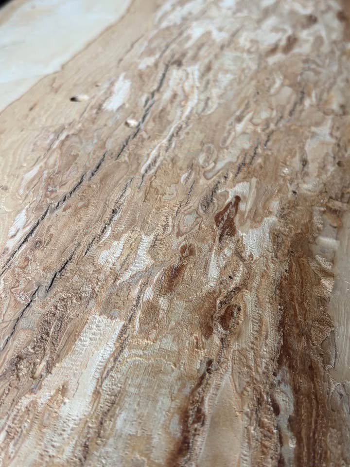 Flitch Ash Live Edge Wood Slabs (5)—6Y Air Dried, Stored Stacked in Climate Control - Image 10