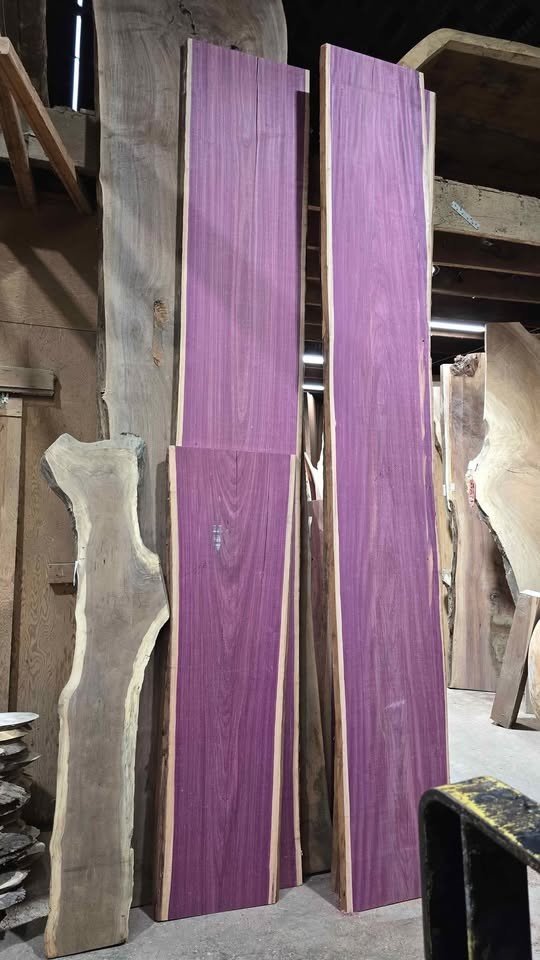 Wood slabs , Vacuum Kiln dried and surfaced flat , 800 fully dried slabs - Image 4