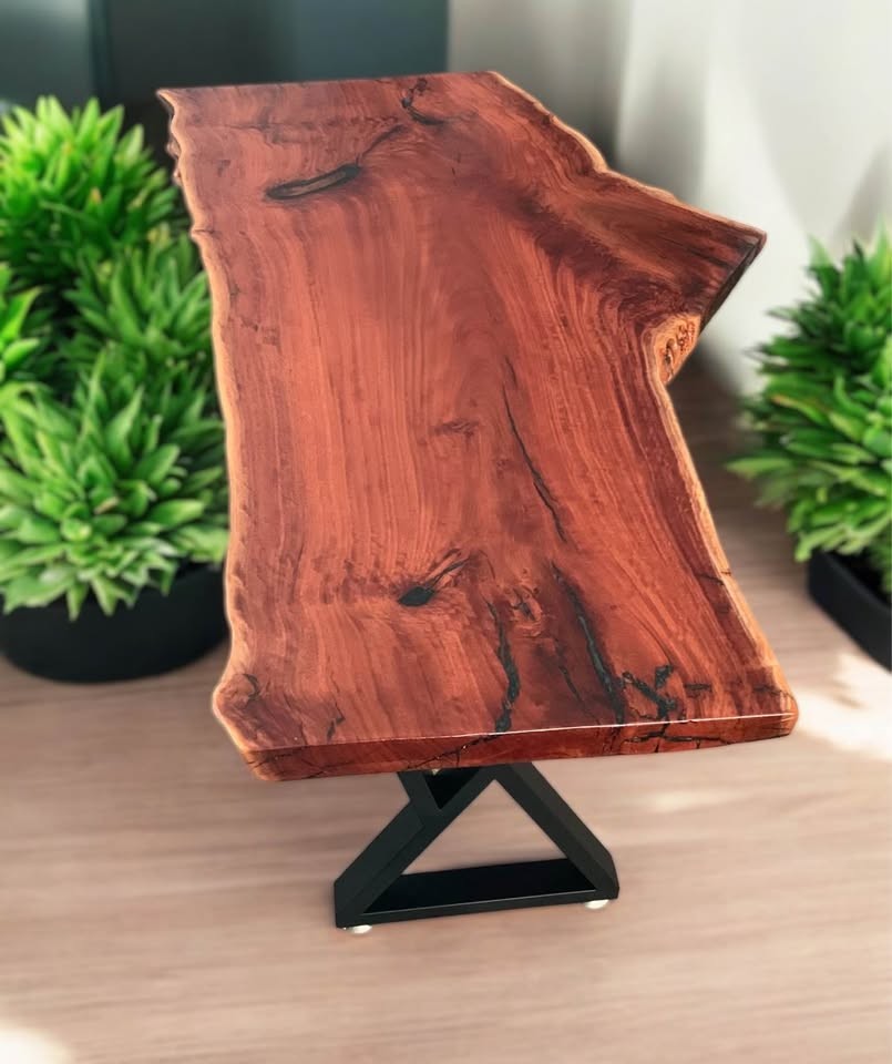 Eucalyptus live edge slabs - Image 7