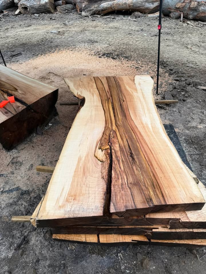 Silver Maple Live Edge Sawmill Slabs - Image 9