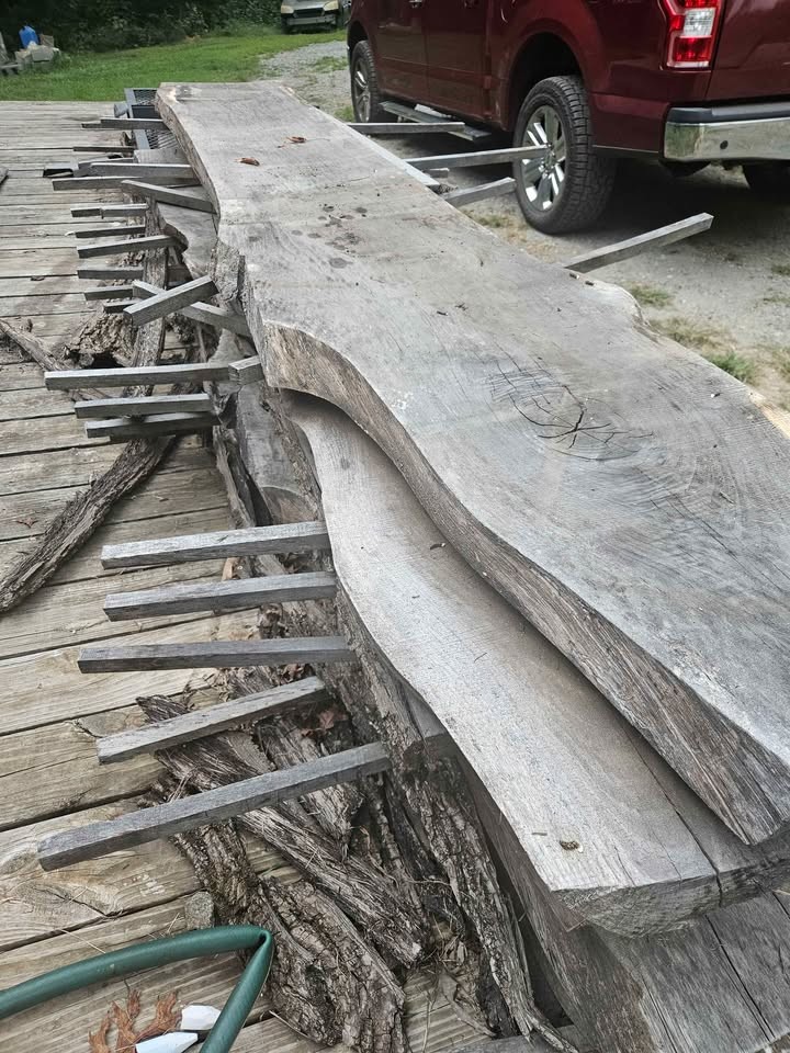 Black walnut slabs - Image 3
