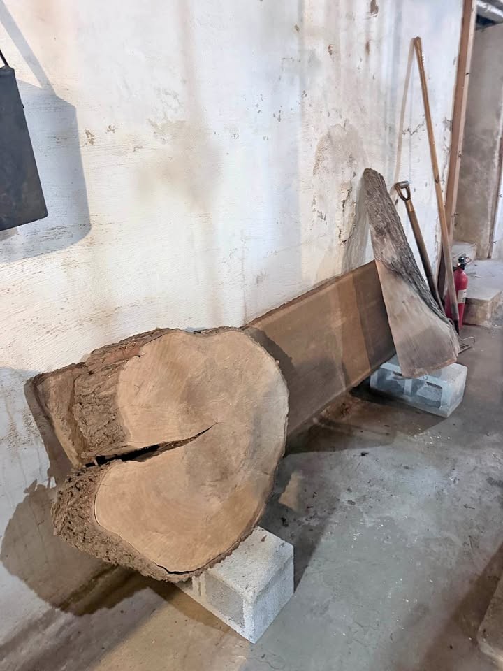 Raw wood - Image 1