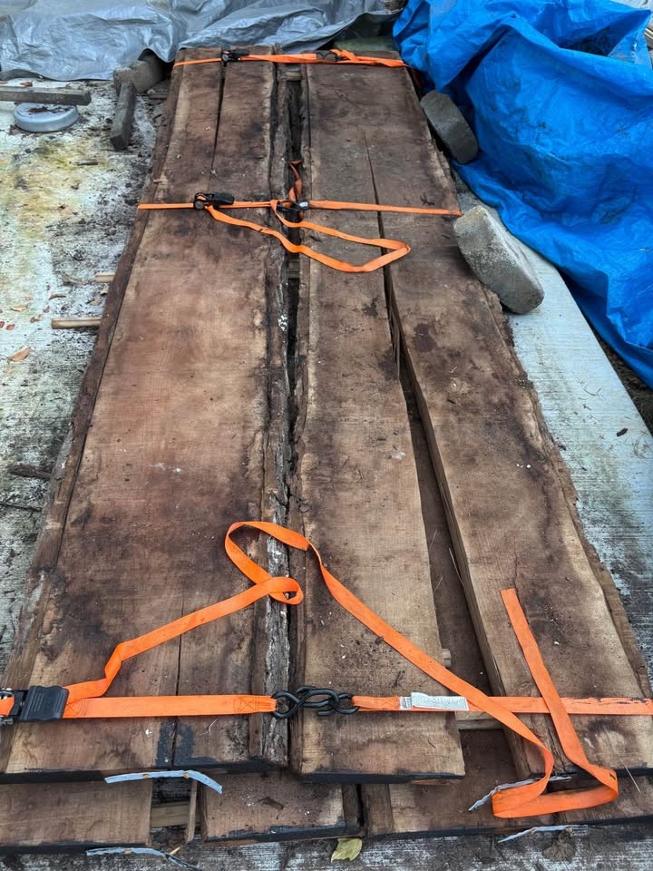 Walnut - Image 2
