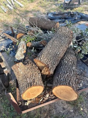 Oak wood for sale must pick up