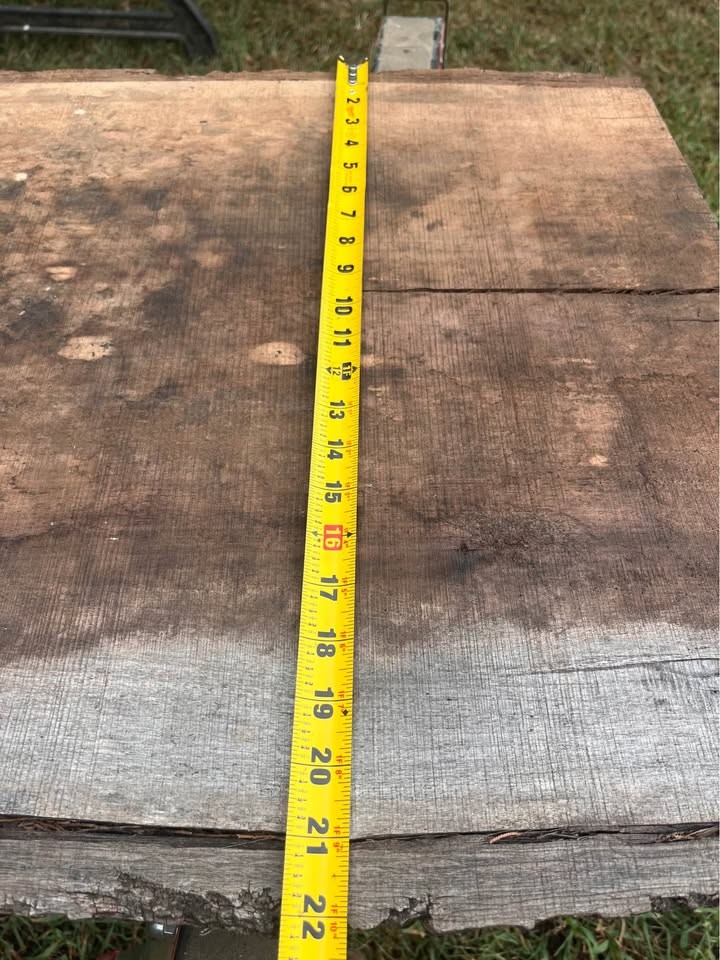 Live edge black walnut slab 8ft 10" inches long and 19-21 inches wide and 3inches thick - Image 5