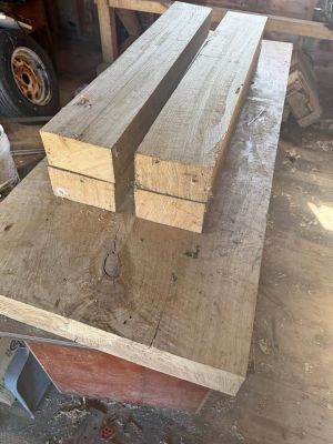 White oak