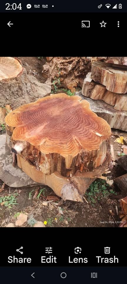 Redwood Slabs & Lumber - Image 7