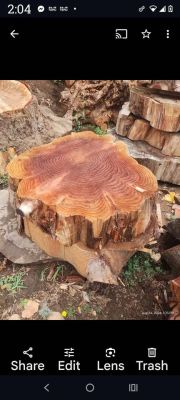 Redwood Slabs & Lumber