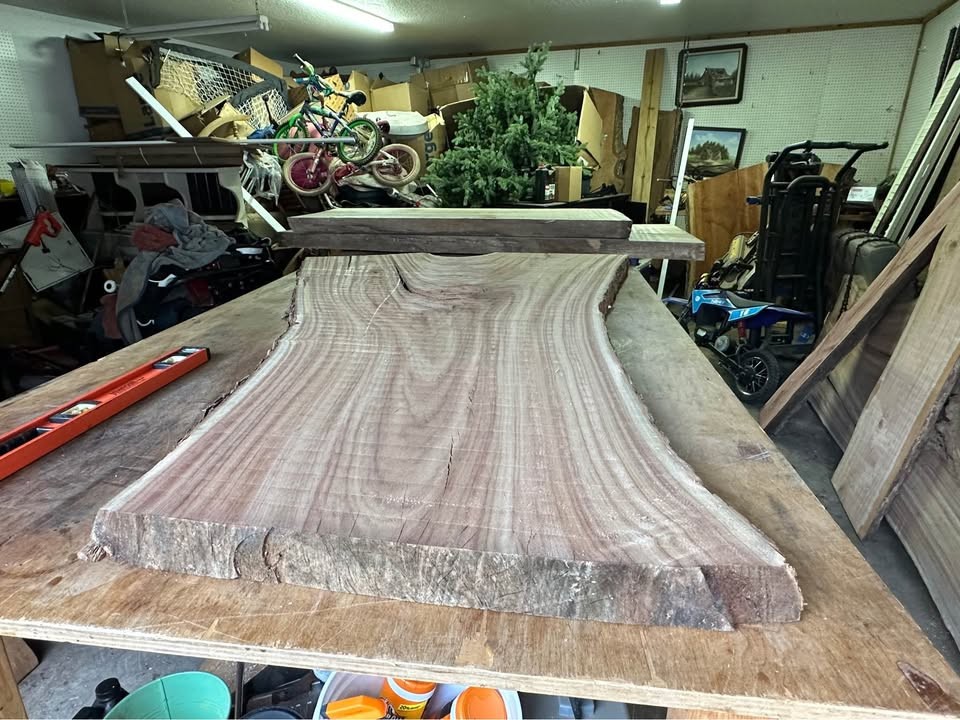 Big Camphor Slab Dried/Flattened - Image 4