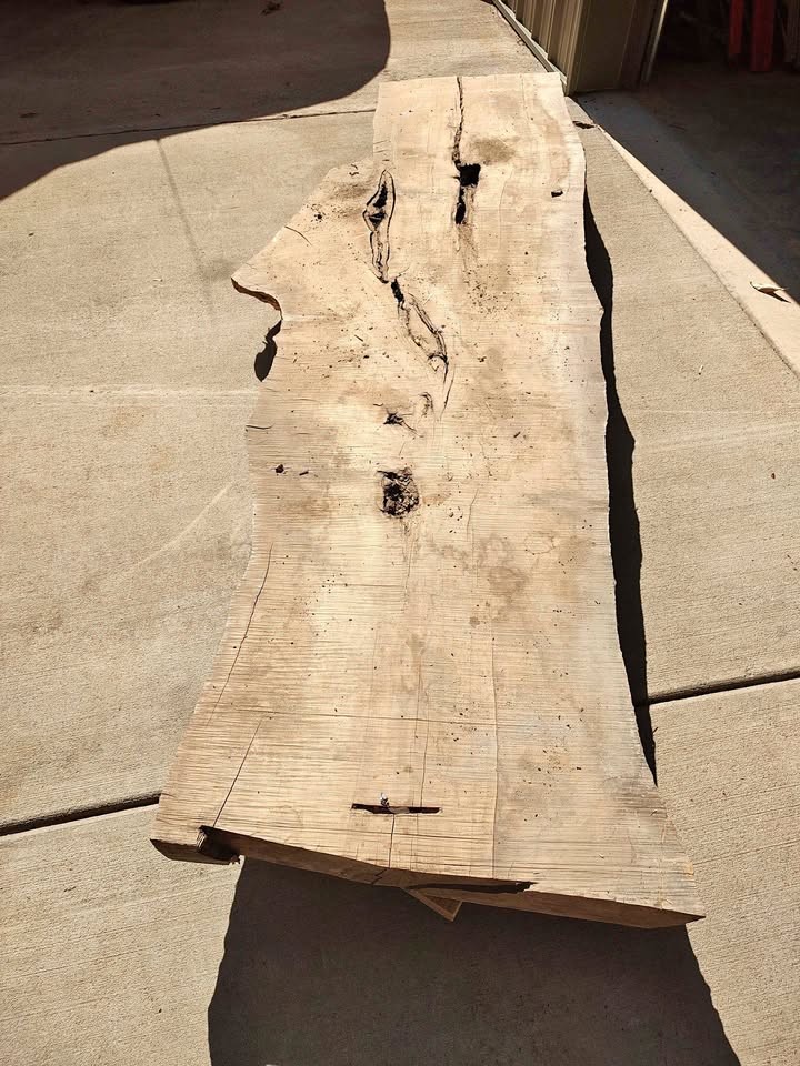 Wood slabs sycamore - Image 1