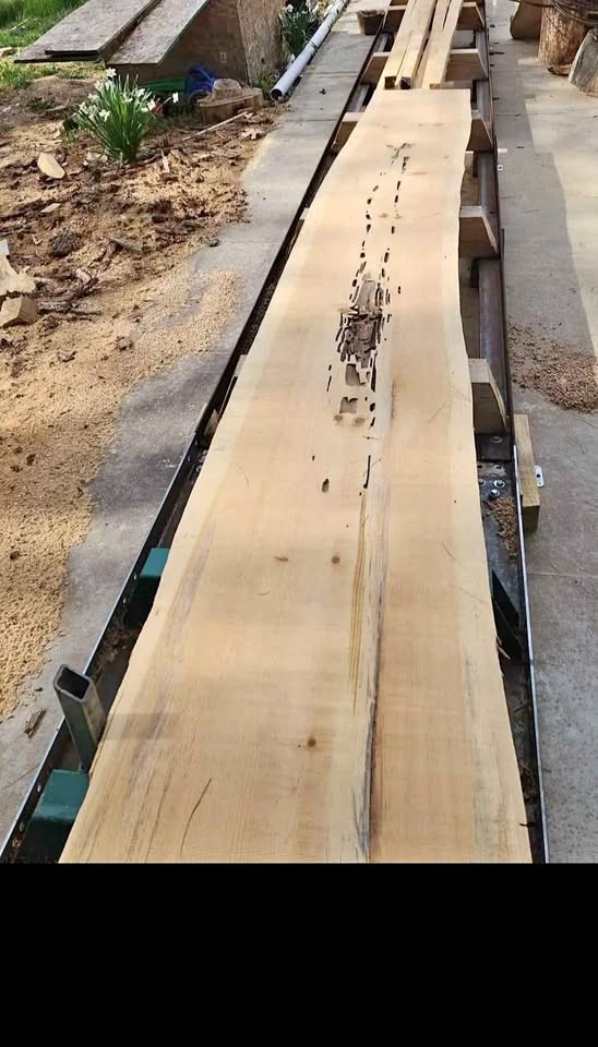 WHITE PINE LIVE EDGE SLAB