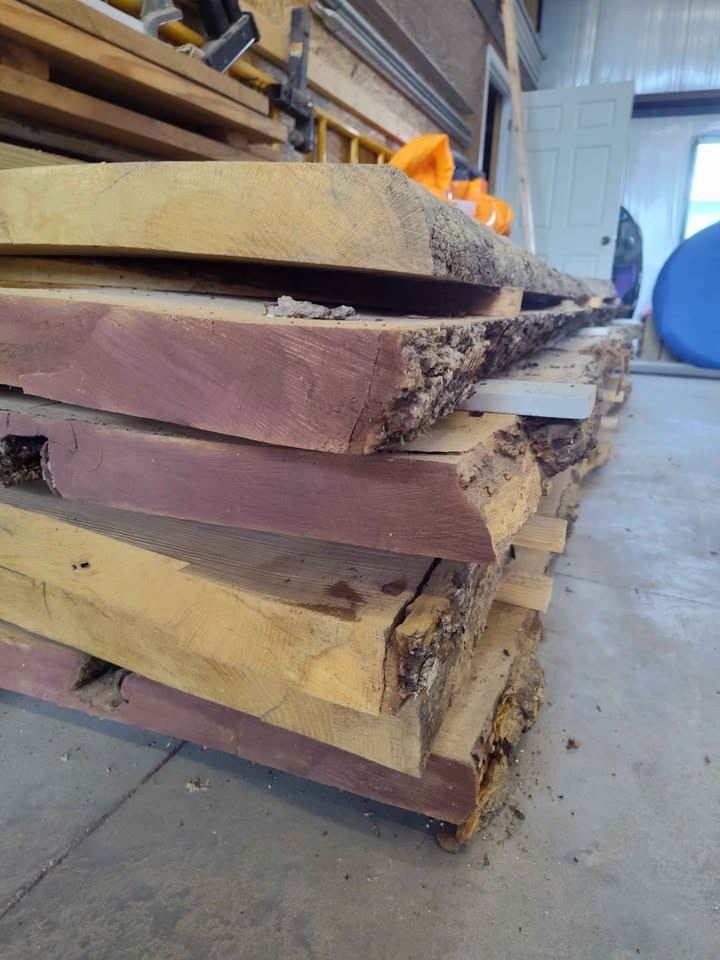 Slabs of White Oak - Image 3