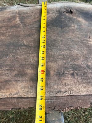 Live edge black walnut slab 8ft 10" inches long and 19-21 inches wide and 3inches thick