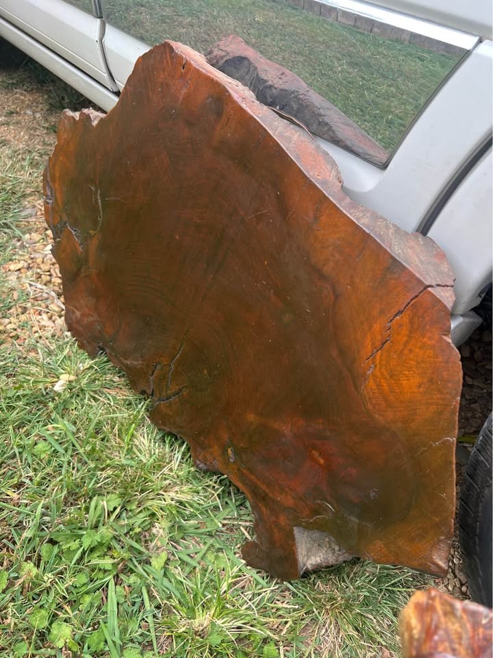 Large Live Edge Burl wood polished slabs - Image 6