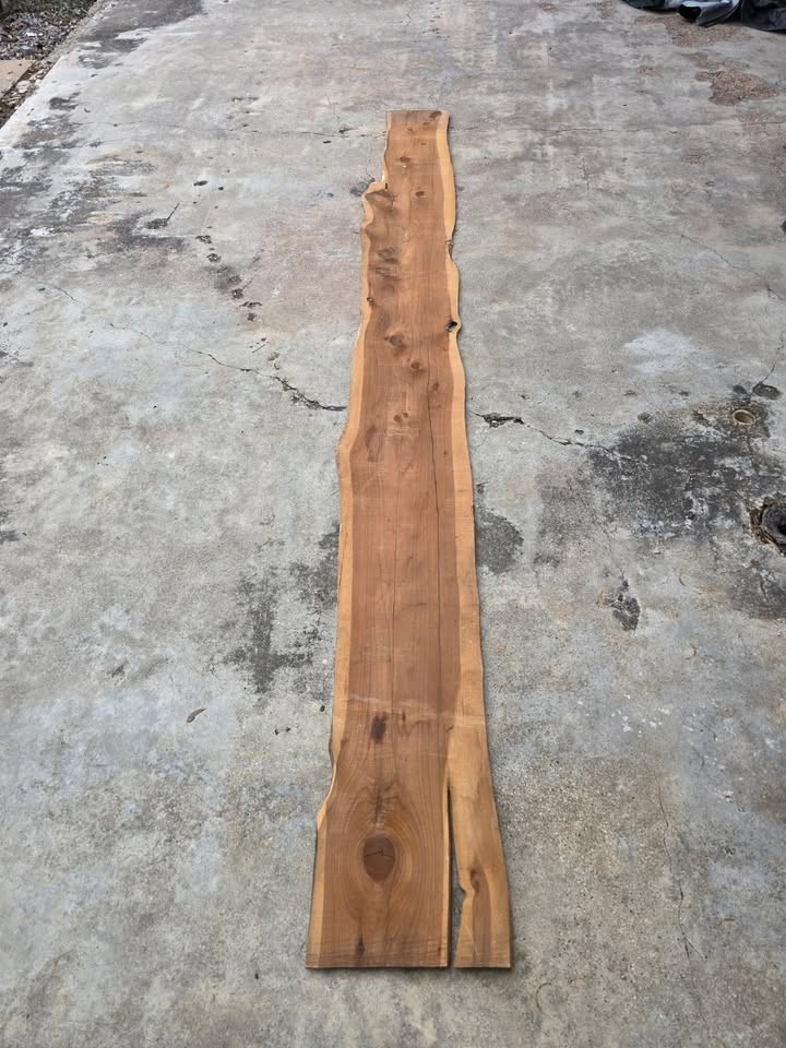 UNIQUE CEDAR SLAB 10FT LONG - Image 2