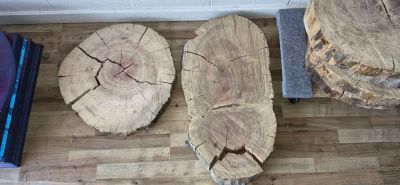 GOT WOOD ? Projects? ????