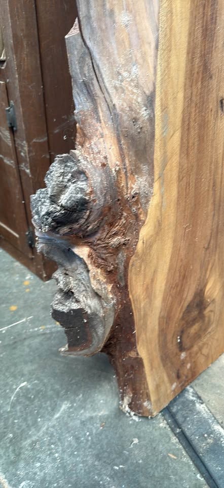 Thick Redwood Live Edge Slab – 75” x 21–29” x 3” - Image 3