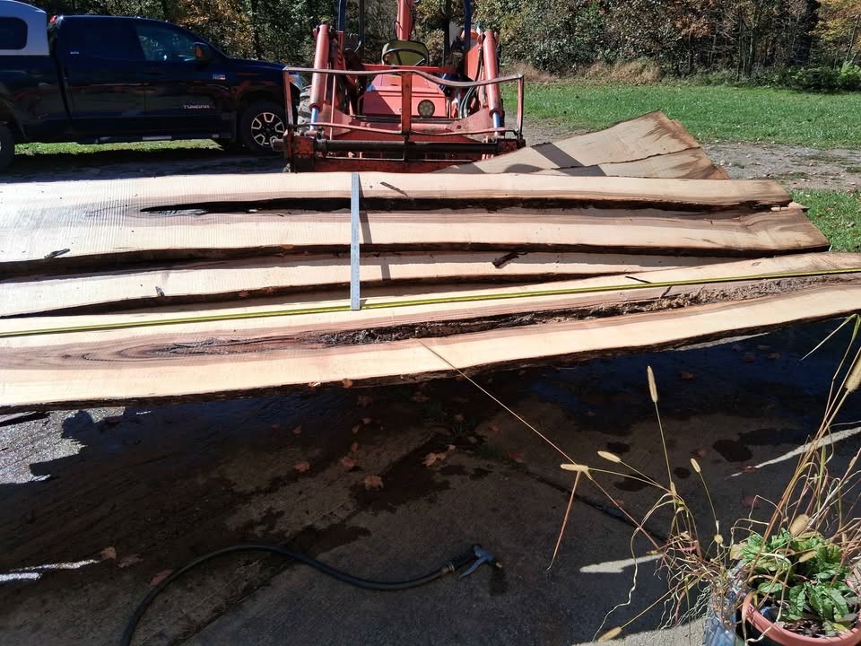 Maple Live Edge Slabs - Image 4