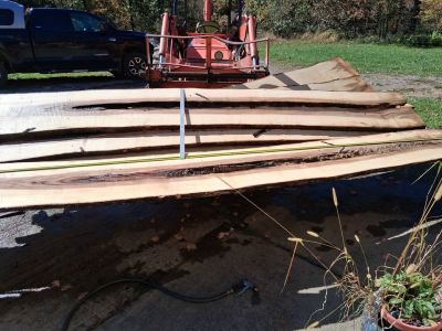 Maple Live Edge Slabs