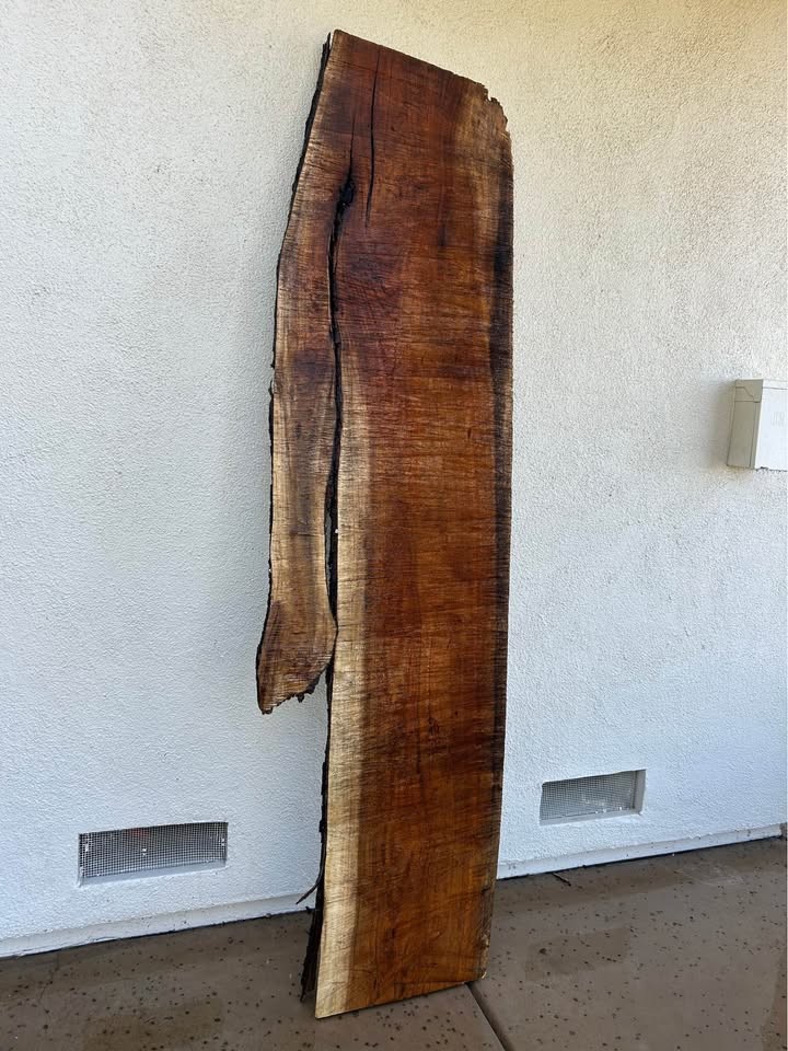 Tasmanian Blackwood (Acacia) expensive Hardwood Live slab! PLEASE READ DESCRIPTION! - Image 2