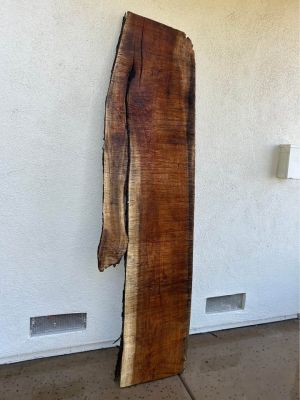 Tasmanian Blackwood (Acacia) expensive Hardwood Live slab! PLEASE READ DESCRIPTION!