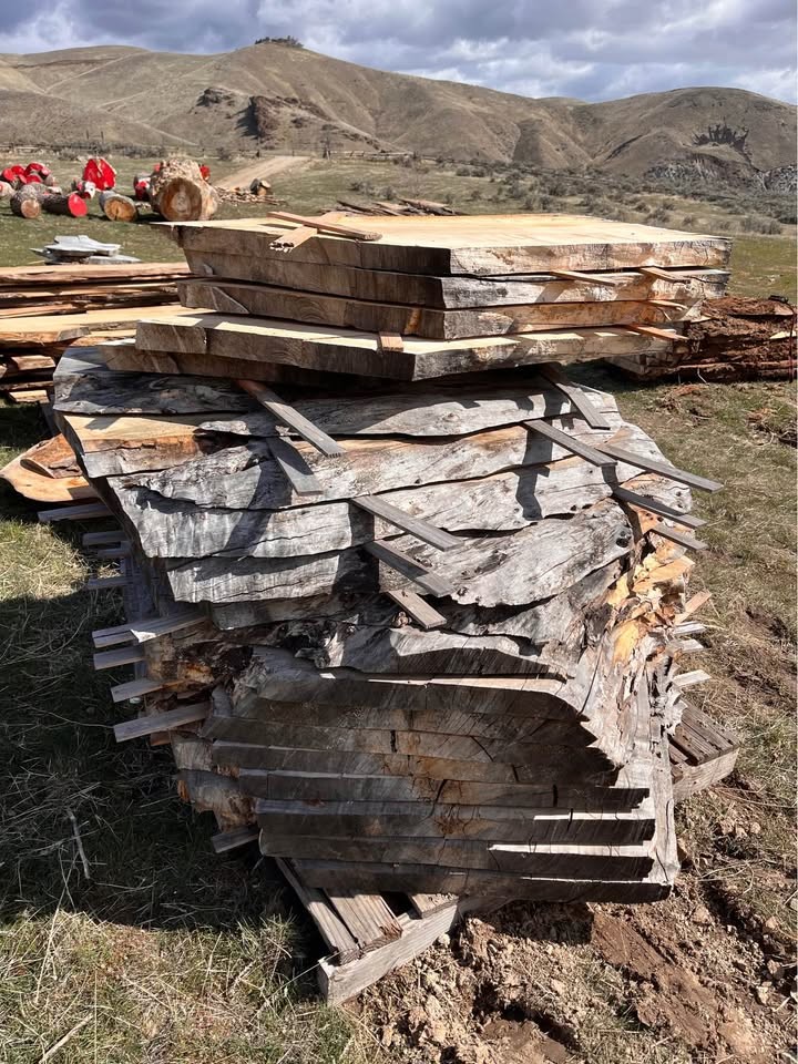 Free Wood Slabs Next Tuesday - Image 4