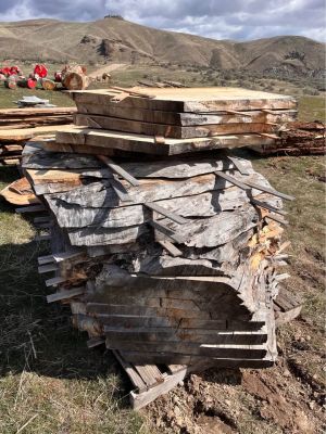 Free Wood Slabs Next Tuesday