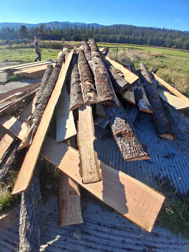 Wood slabs - Image 1