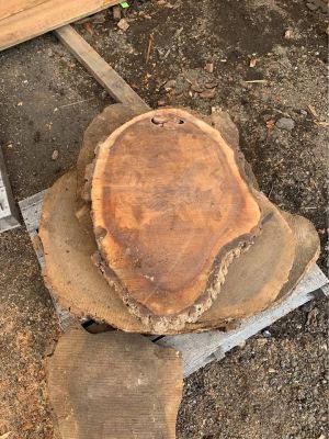 Black Walnut End Grain Slabs - Walnut Cookies