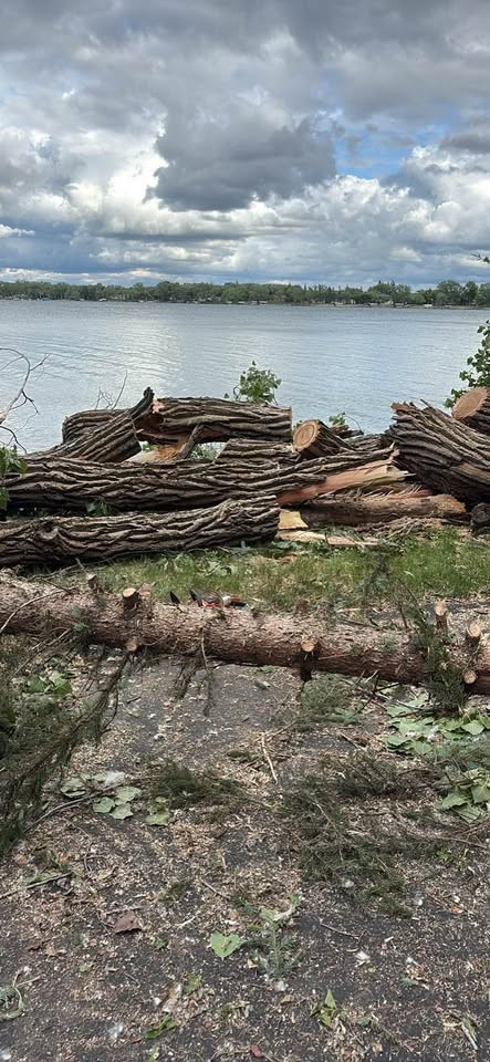Large pieces 8-10 ft chunks of wood from down trees from storm - Image 2