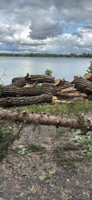 Large pieces 8-10 ft chunks of wood from down trees from storm