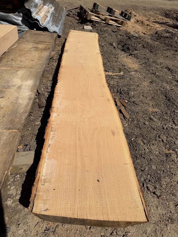 Red Oak Live Edge slab - Image 2