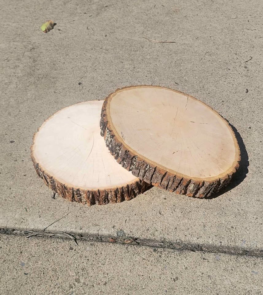 Wood Slabs for Centerpieces