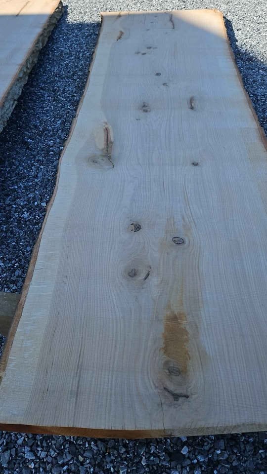 Oak slab,2 1/2 "thick 12ft long,3ftwide4ftw  slab number 2 - Image 4