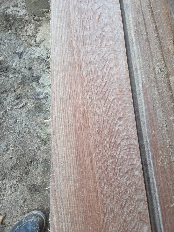 Red oak - Image 2