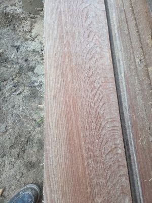 Red oak