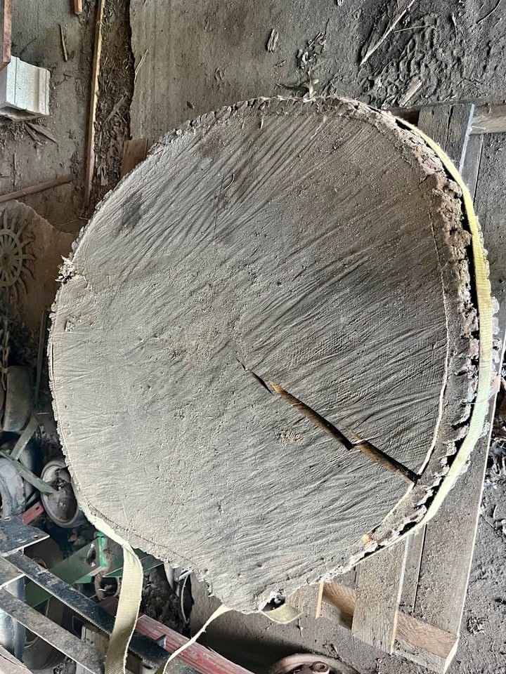 2 Large Wood Slabs *Live Edge* *Dry* *Cookies* *Table* *Woodworking* *Project* - Image 1