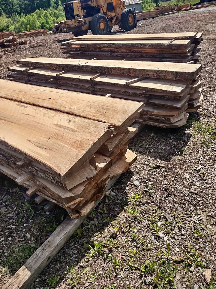 Wormy Maple Live Edge Slabs
