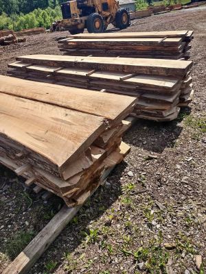 Wormy Maple Live Edge Slabs