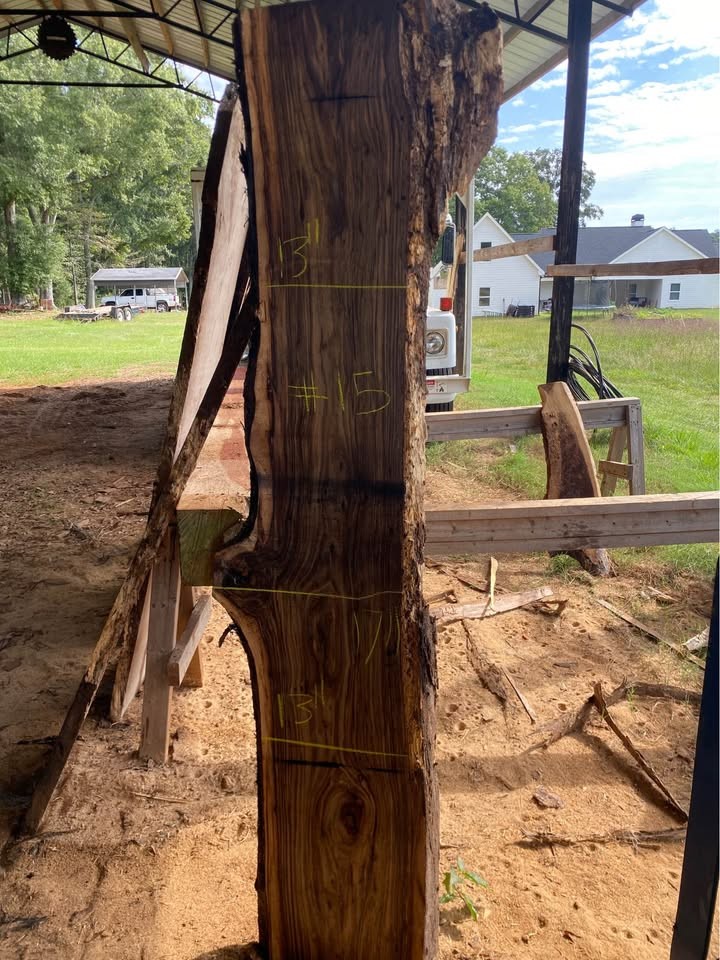 Black Walnut Live Edge Slabs - Image 6
