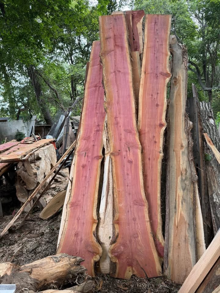 Live Edge Cedar Wood Slabs - Image 2