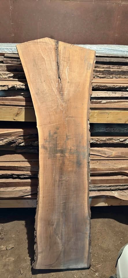 Black walnut 2” live edge