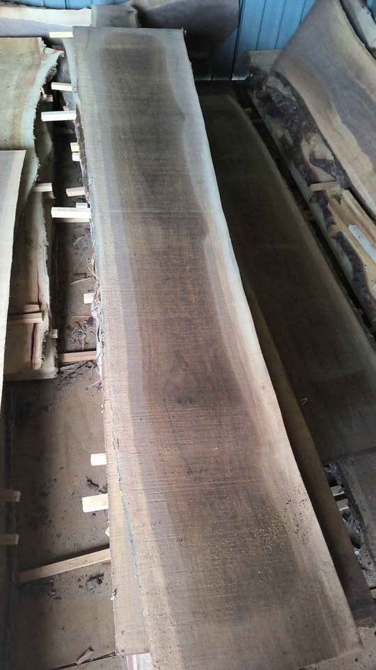 Freshly Milled Walnut slabs - Image 2