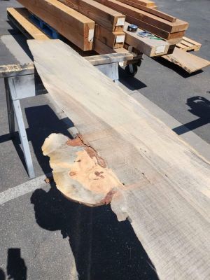 Wood Project Live Edge Slab - 1x20x8.5ft