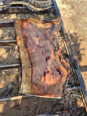 Live edge spalted pecan slabs