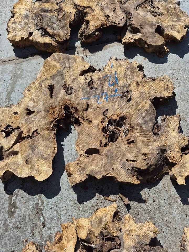 Buckeye Burl Slabs - Image 3